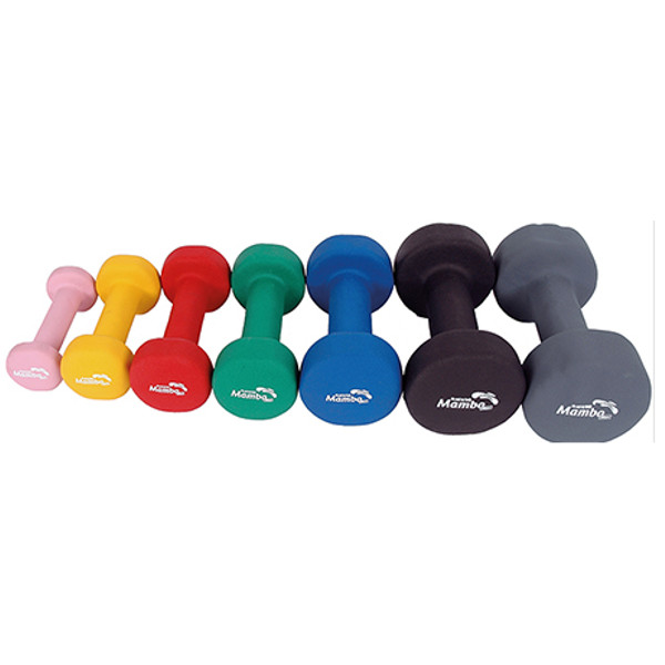 Vinyl-Hanteln (1 Paar) 1,0 kg